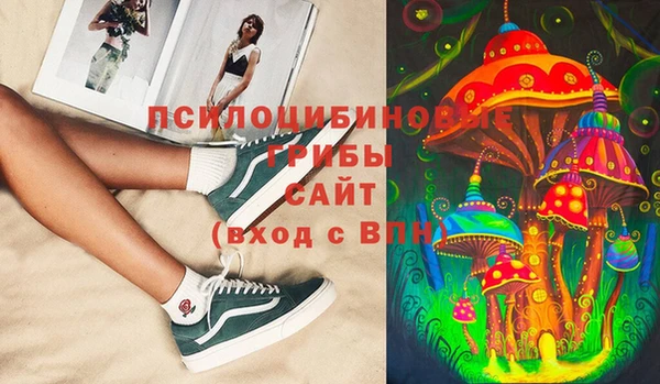 шишки Белоозёрский