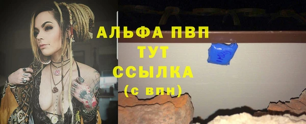 трава Белокуриха