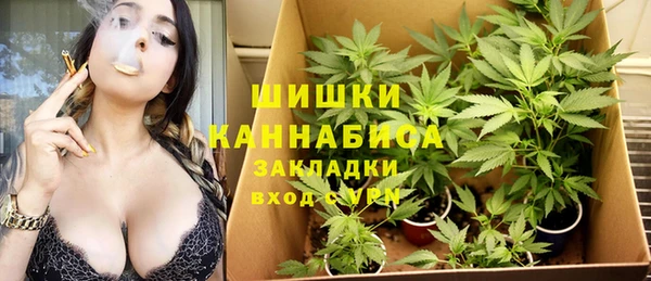 трава Белокуриха