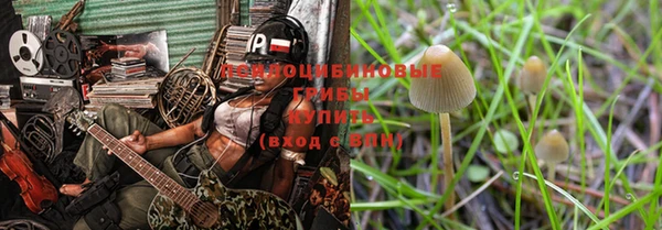 трава Белокуриха