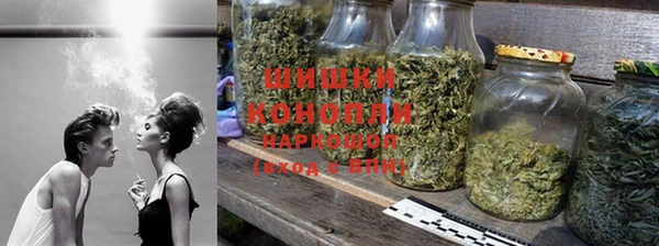 трава Белокуриха