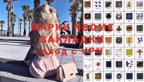 шишки Белоозёрский