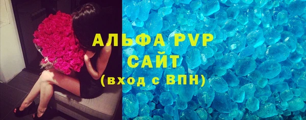трава Белокуриха