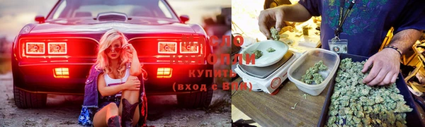 ешки Беломорск